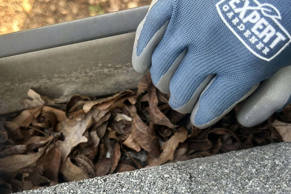 Gutter Cleaning South Miami FL