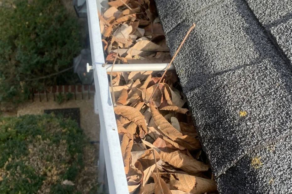 Gutter Cleaning South Miami FL